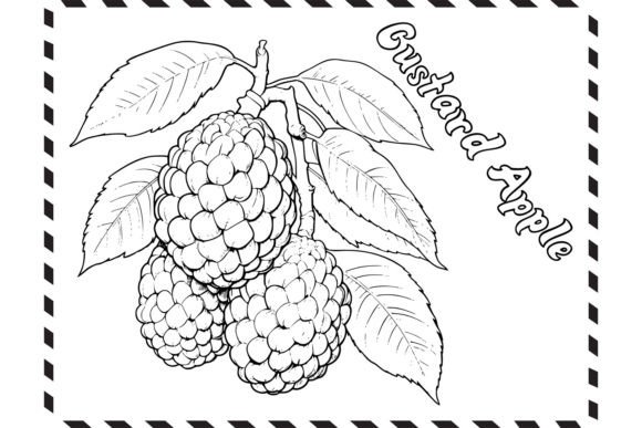 Download Custard Apple Coloring Pages for Kids - Apple coloring pages Collection